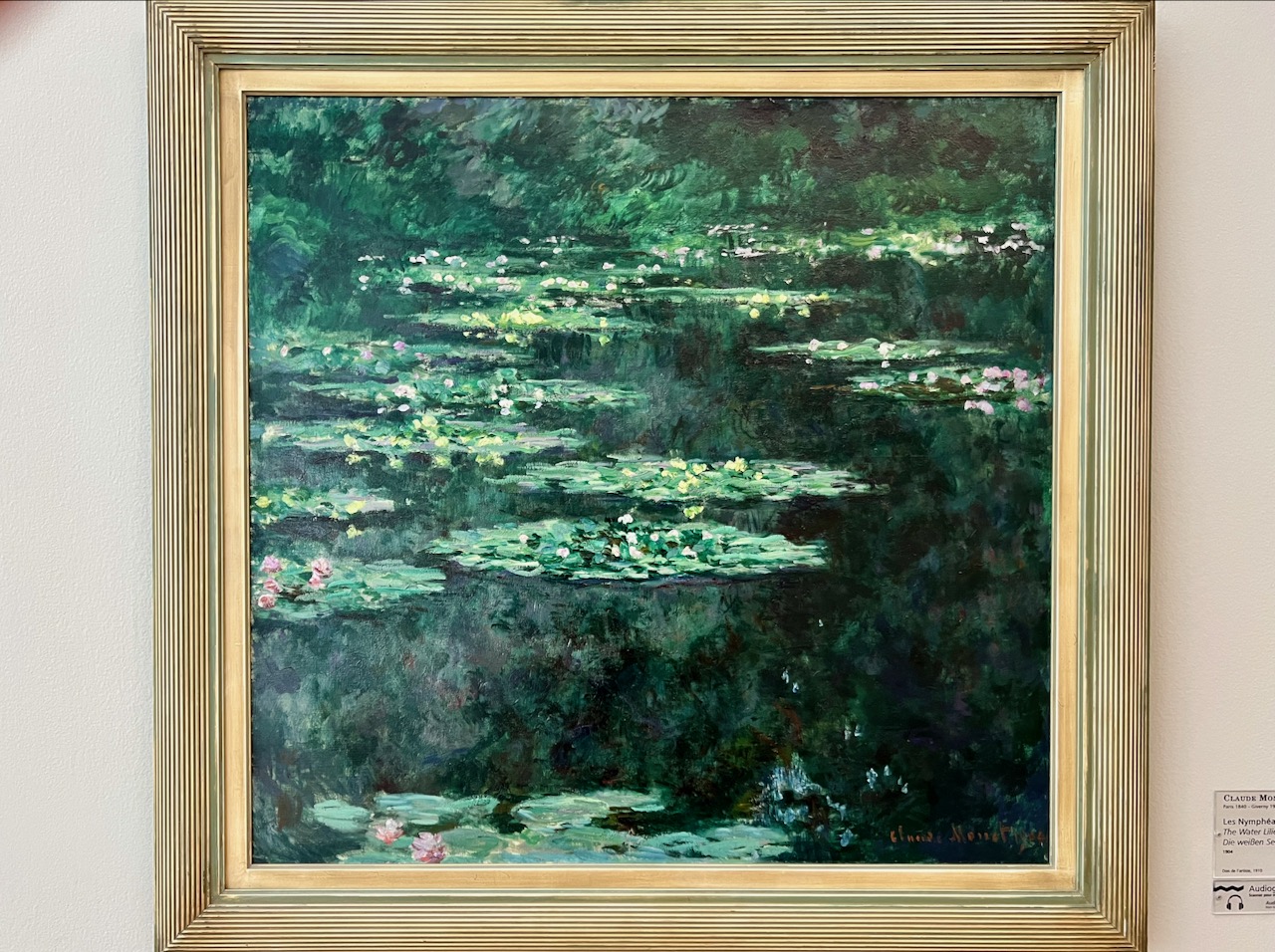 Les Nymphéas, peints par Monet