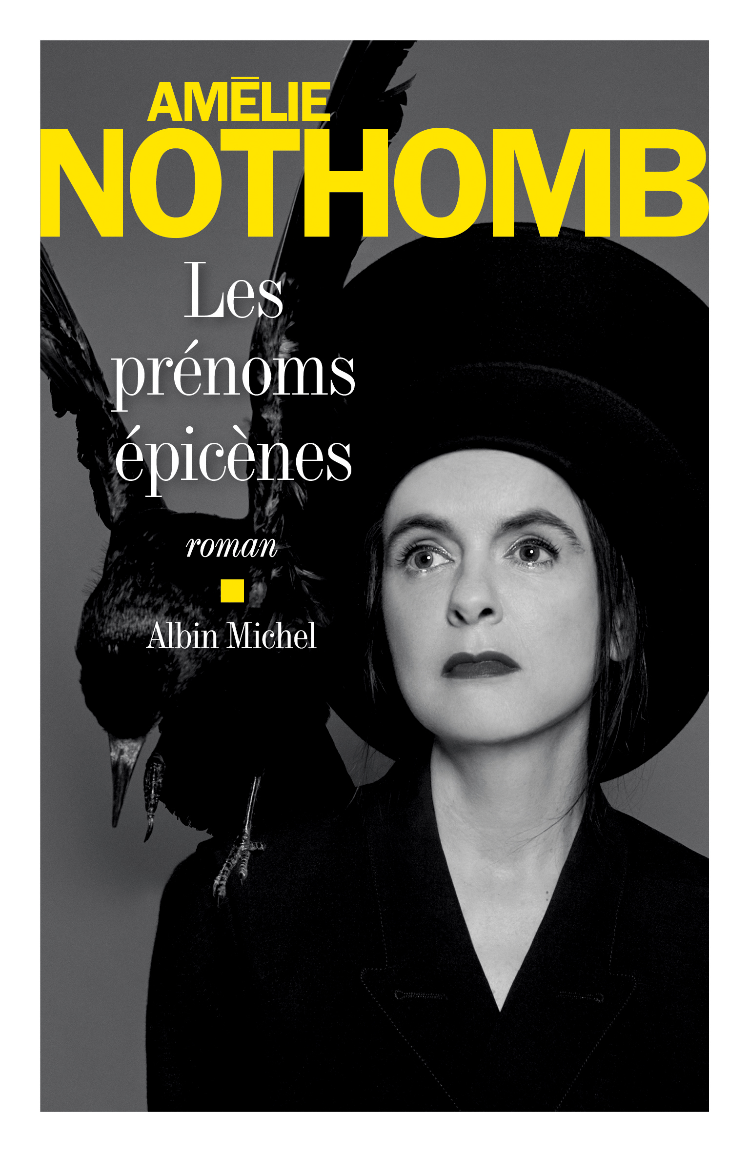 Jour 12 : Épicé - <a href='/2018/12/ma-critique-de-les-prenoms-epicenes-damelie-nothomb/'>Les prénoms épicènes</a> d'Amélie Nothomb<br />Parce que Épicé(ne)s