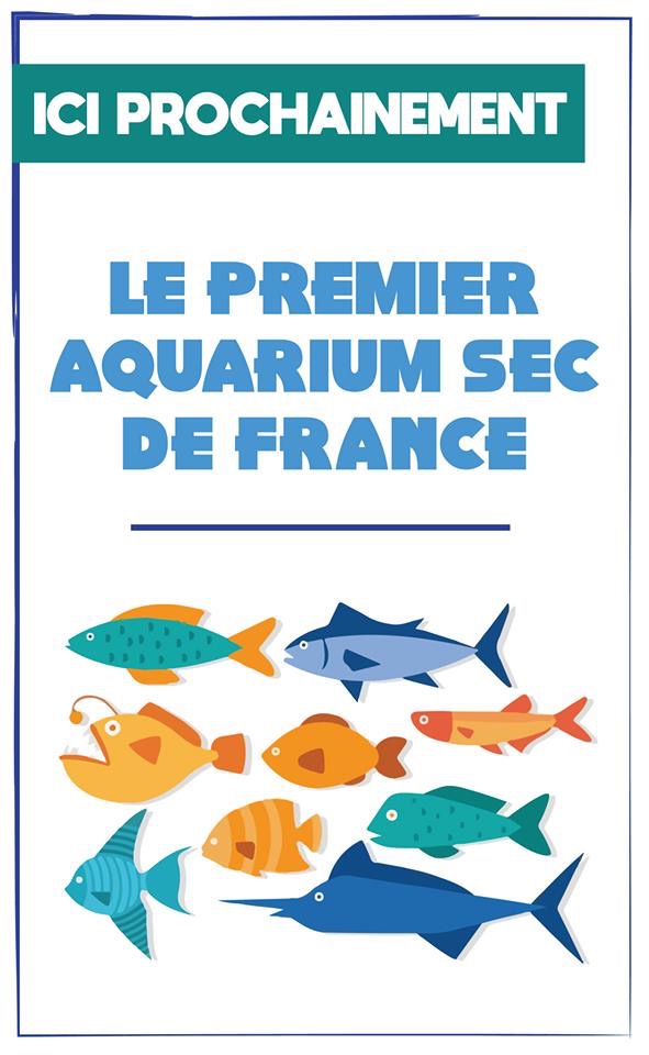 Le premier aquarium sec de France