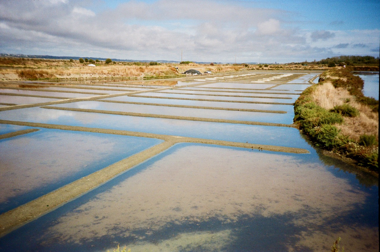 Le Croisic, Marais Salants