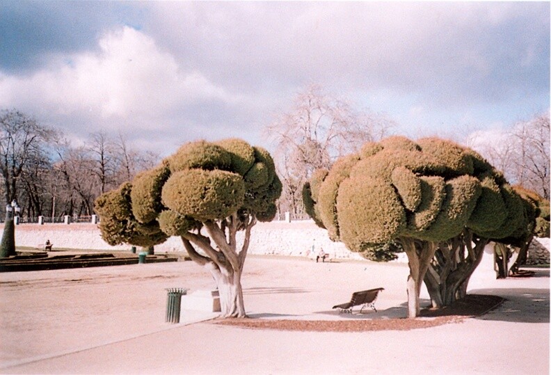 Jour 28 : Un banc - El Retiro, Madrid, Espagne #Lomo #LCA