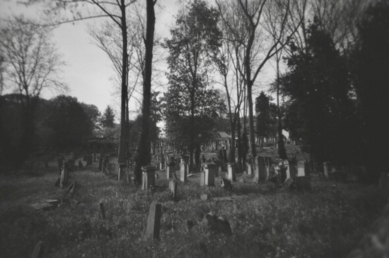 Jour 31 : Noir et Blanc - Cimetière juif de Koenigshoffen, Strasbourg, France #Lomo #LCA