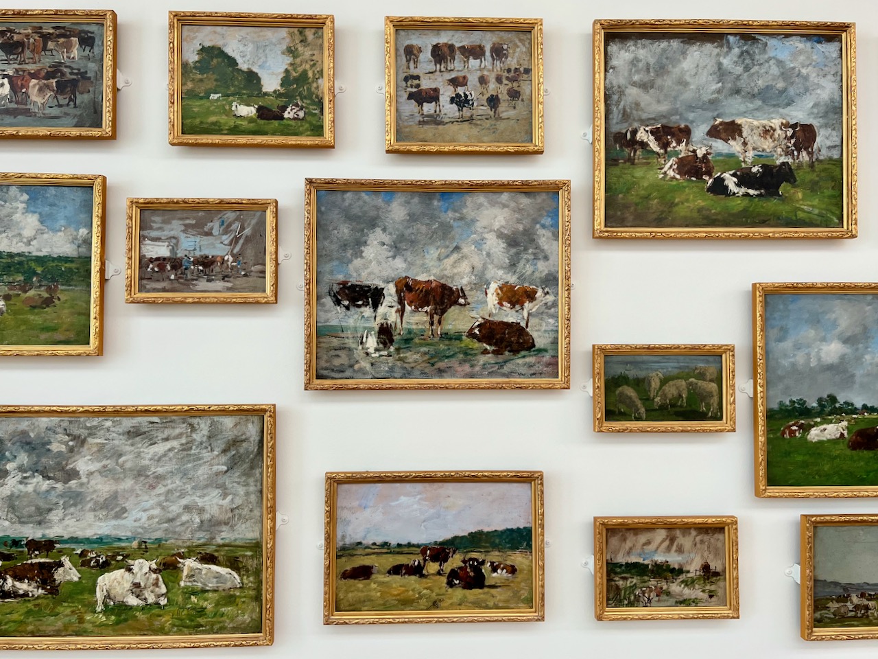 Plusieurs tableaux de vaches sur un mur, peints par Eugène Boudin
