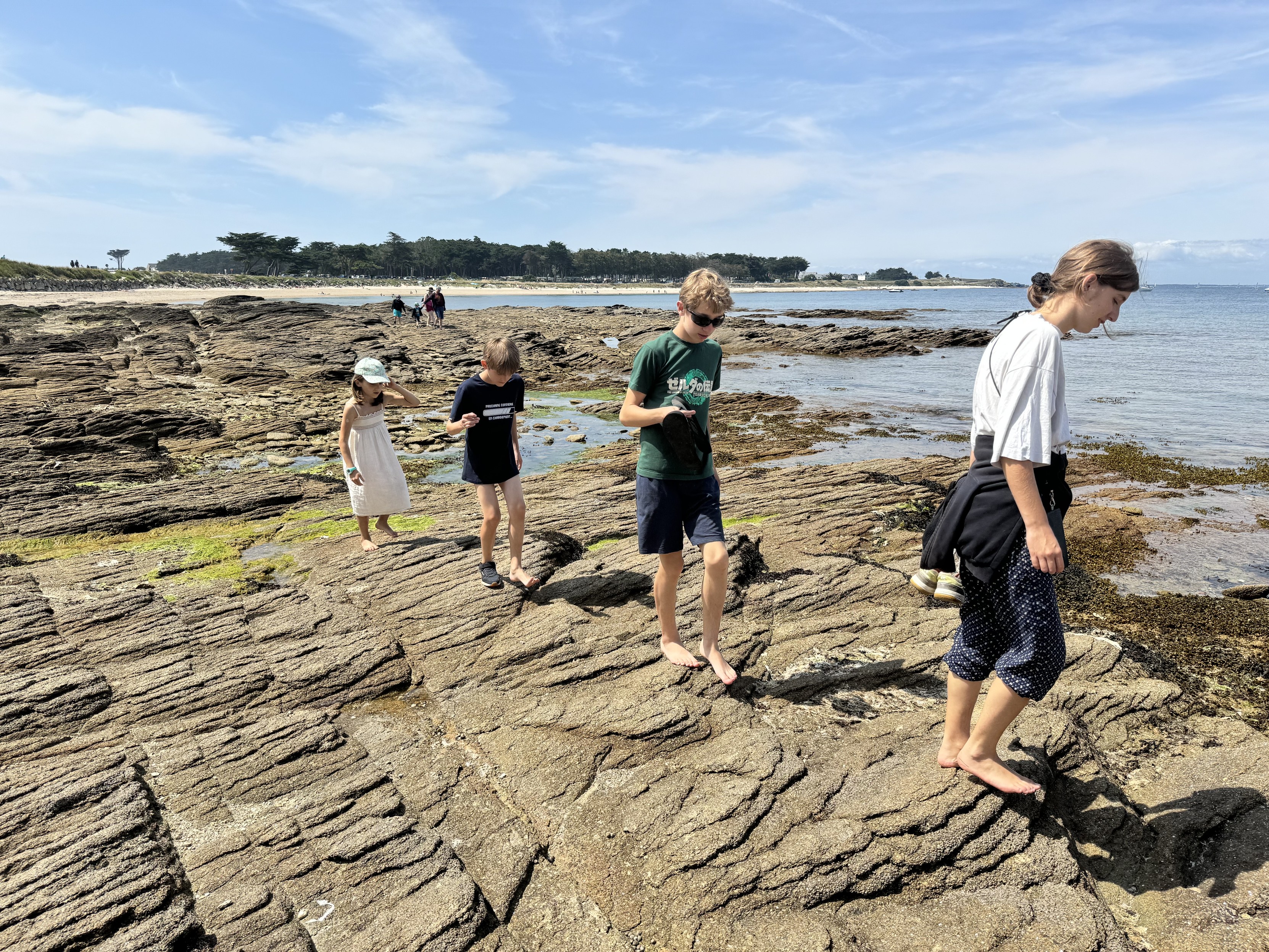 4 enfants, du plus agé au plus jeune, marchent sur les rochers en bord de mer