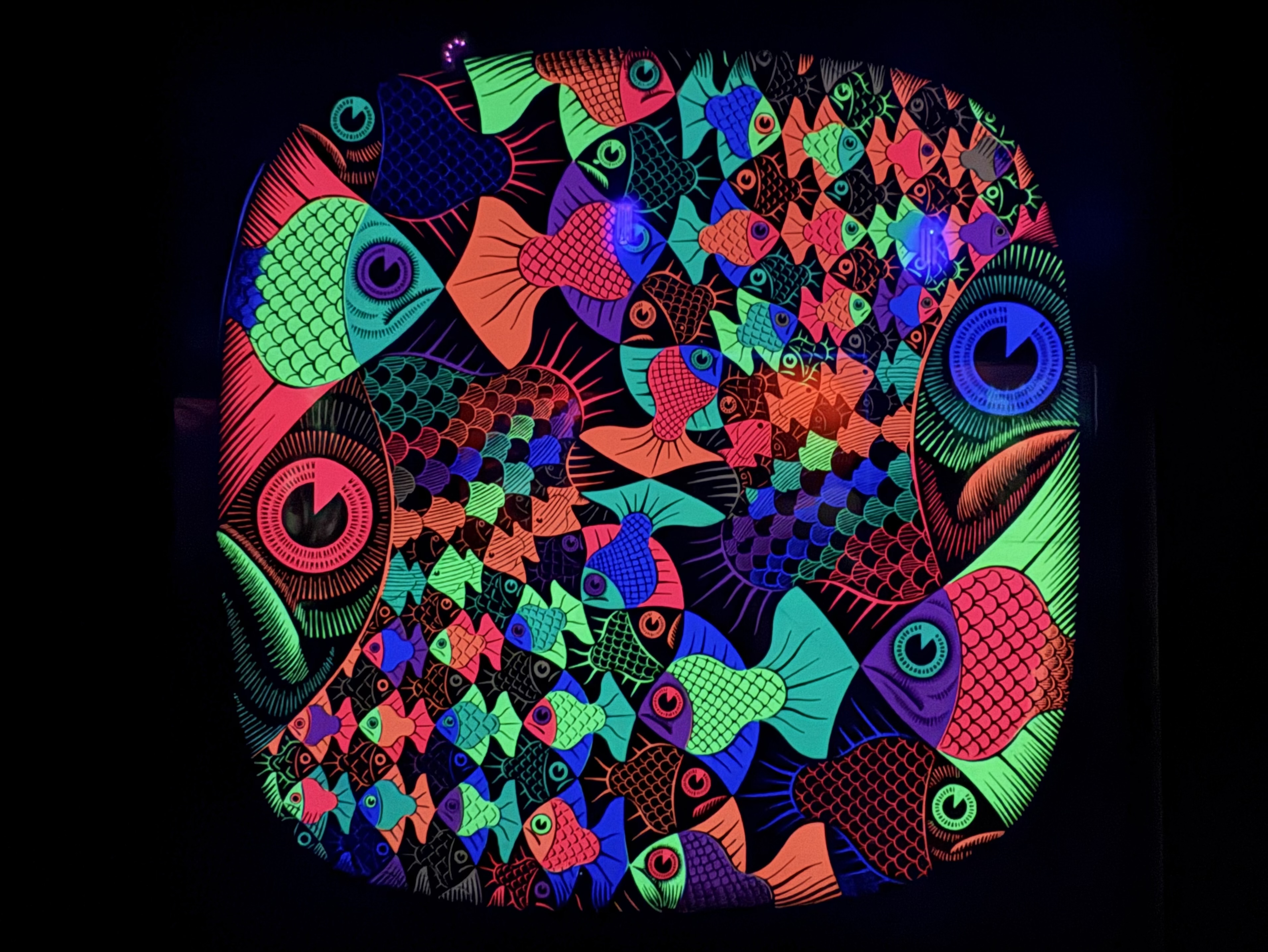 Des poissons de différentes tailles forment un motif infini (en version néon, c’est à dire avec des couleurs vibrantes faites pour être vue avec de la lumière noire)