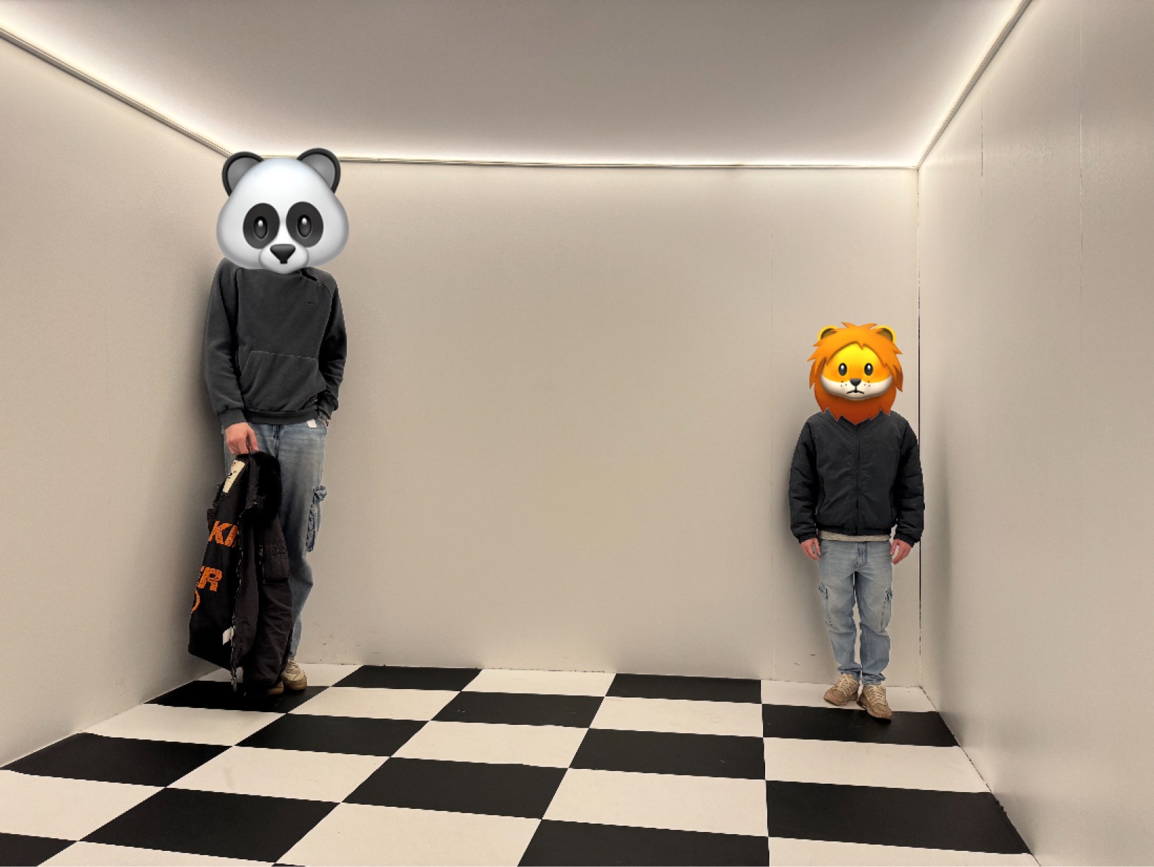 Le panda est plus grand que le lion…